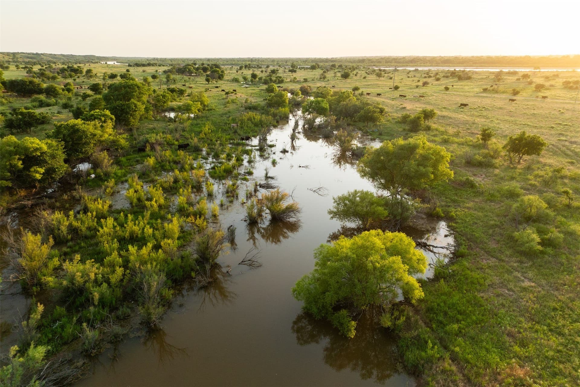 278 acres in Wichita County - photo 9