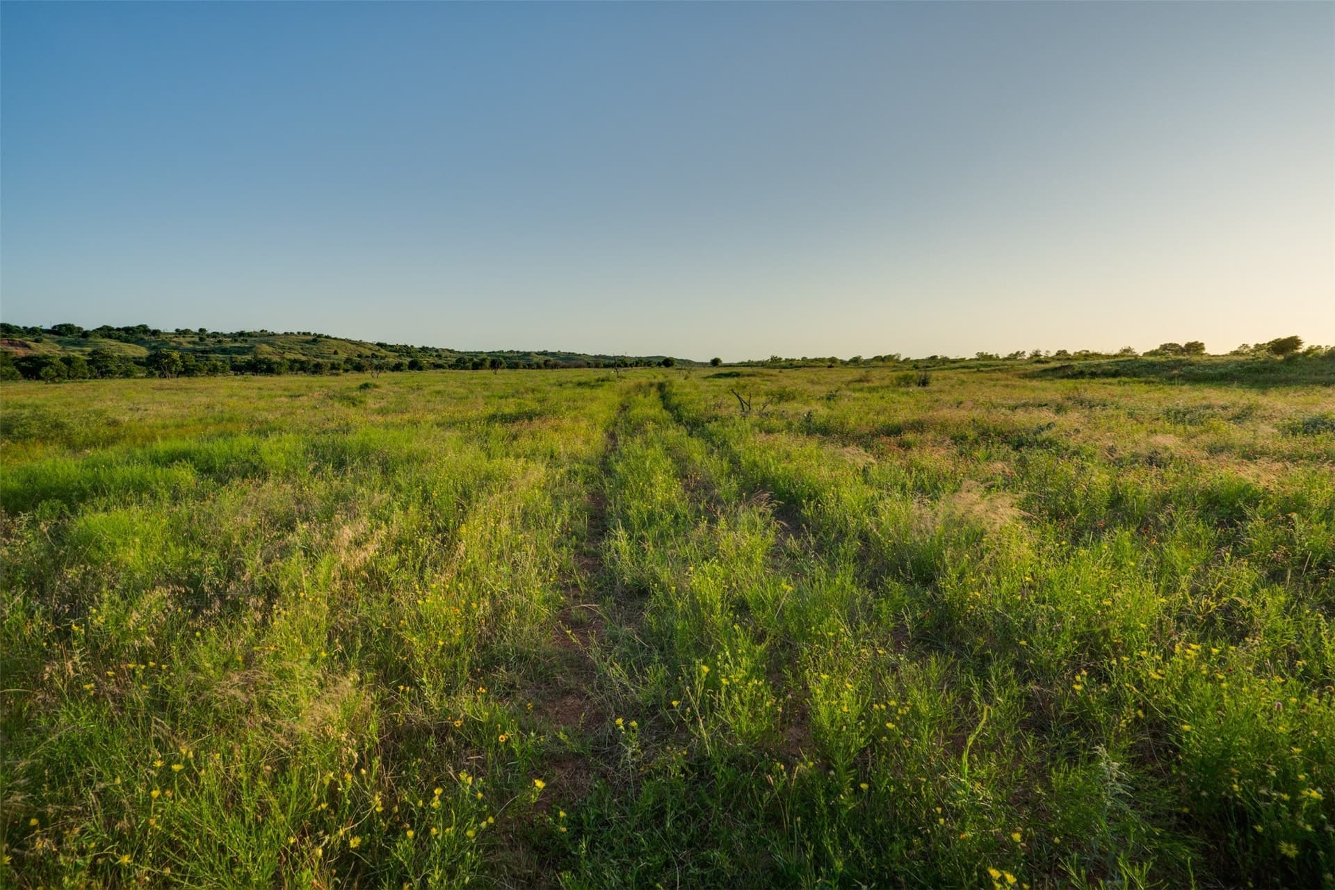 278 acres in Wichita County - photo 38