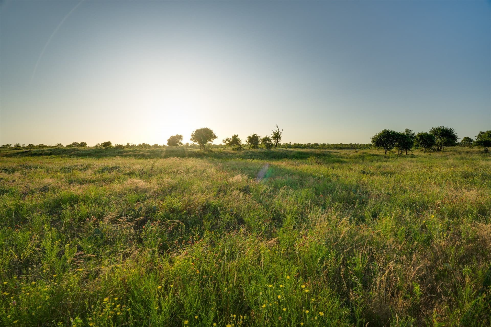 278 acres in Wichita County - photo 39