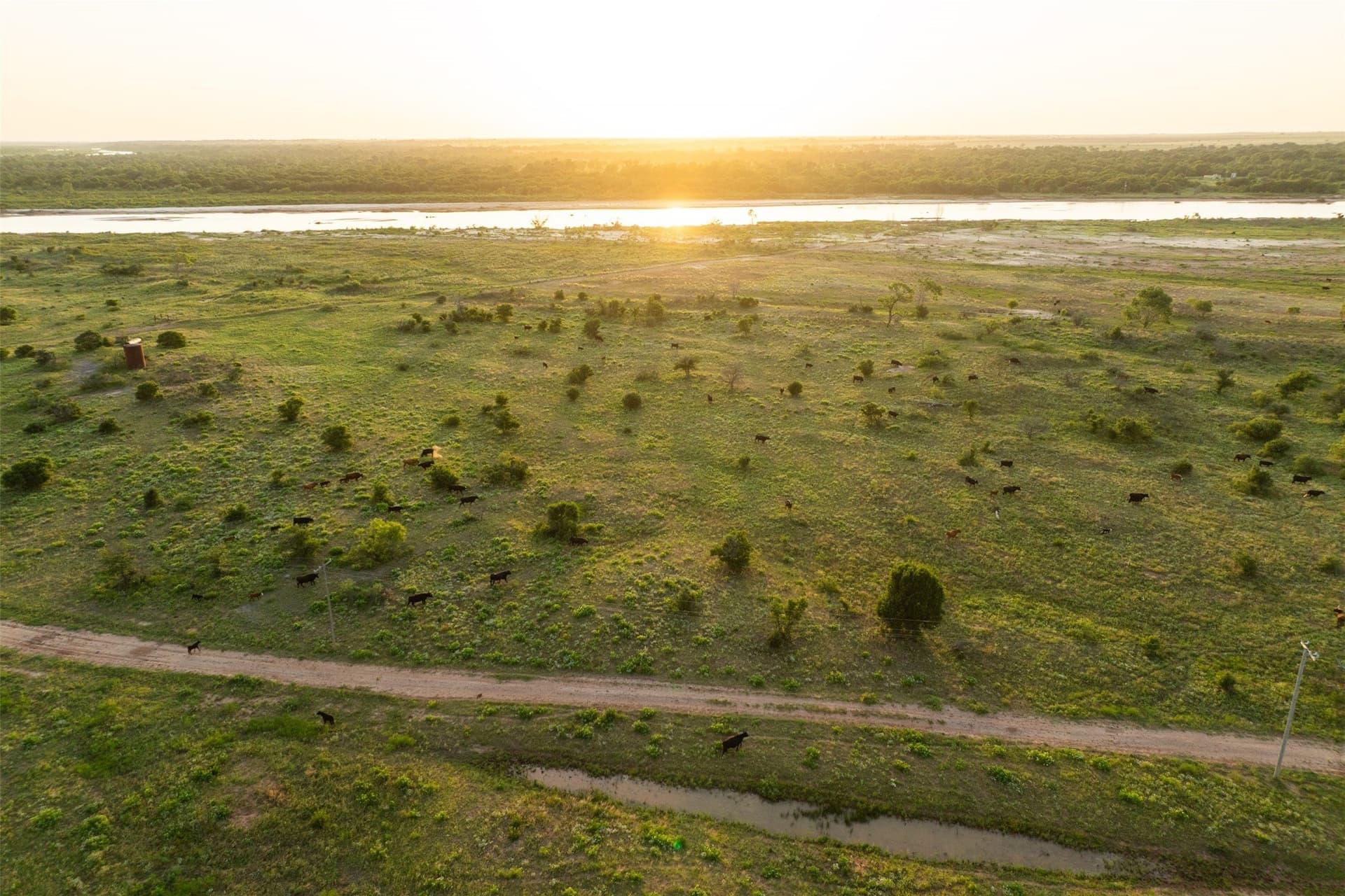 278 acres in Wichita County - photo 16