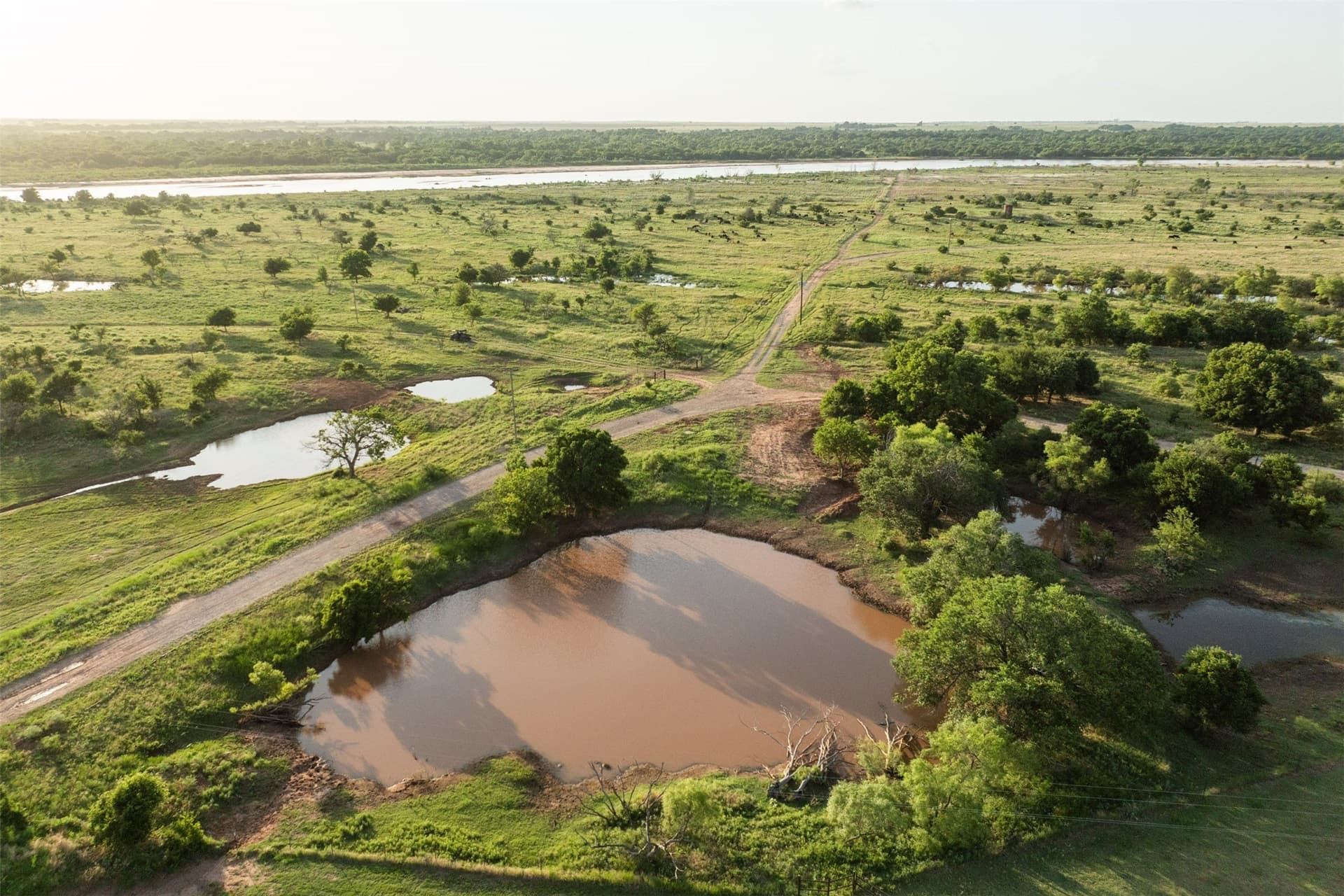 278 acres in Wichita County - photo 5