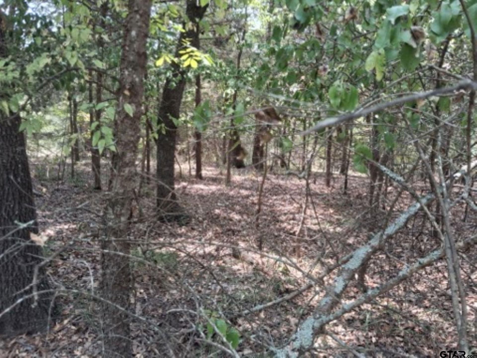 0.24 acres in Van Zandt County - photo 4
