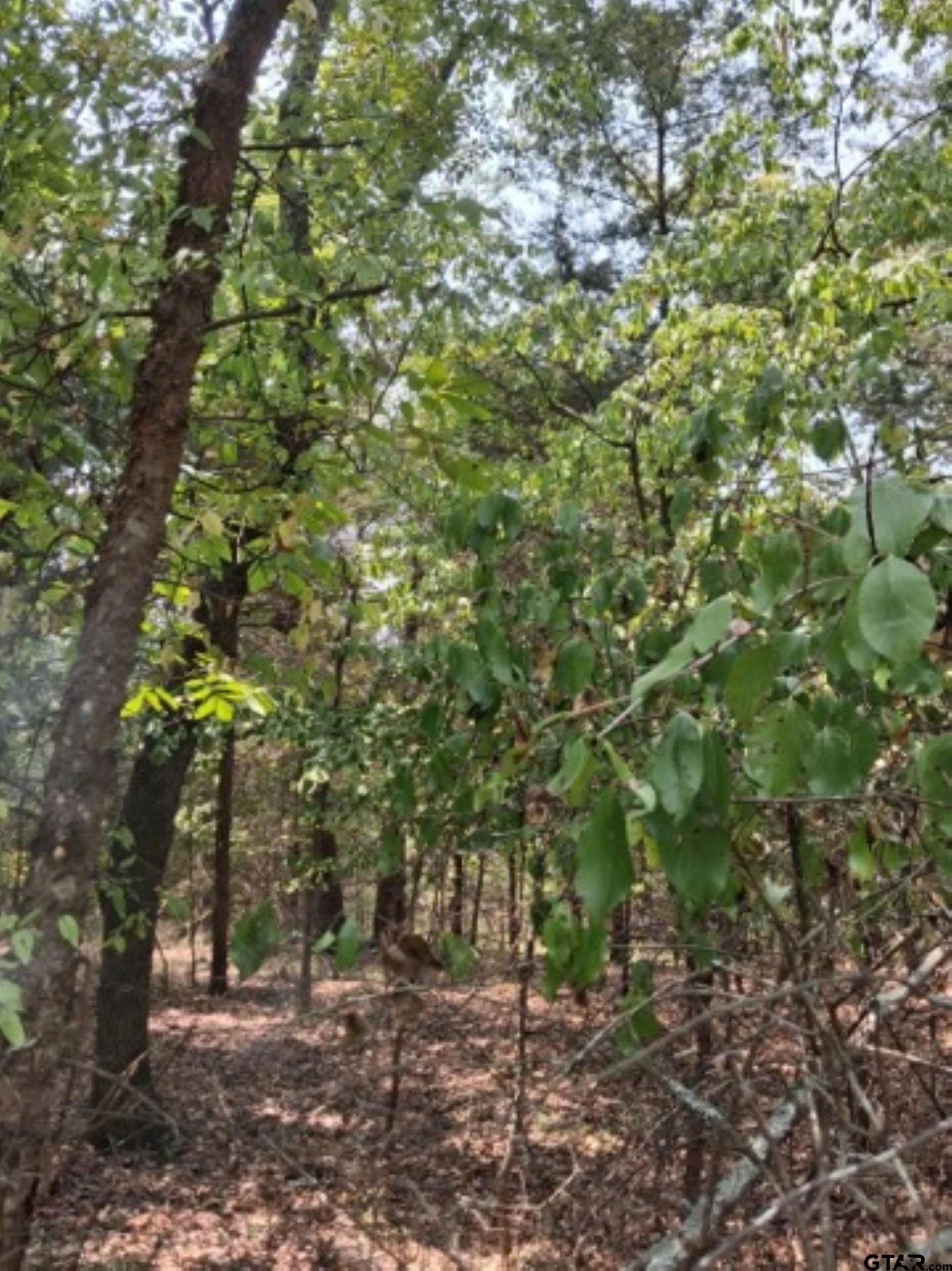 0.24 acres in Van Zandt County - photo 6