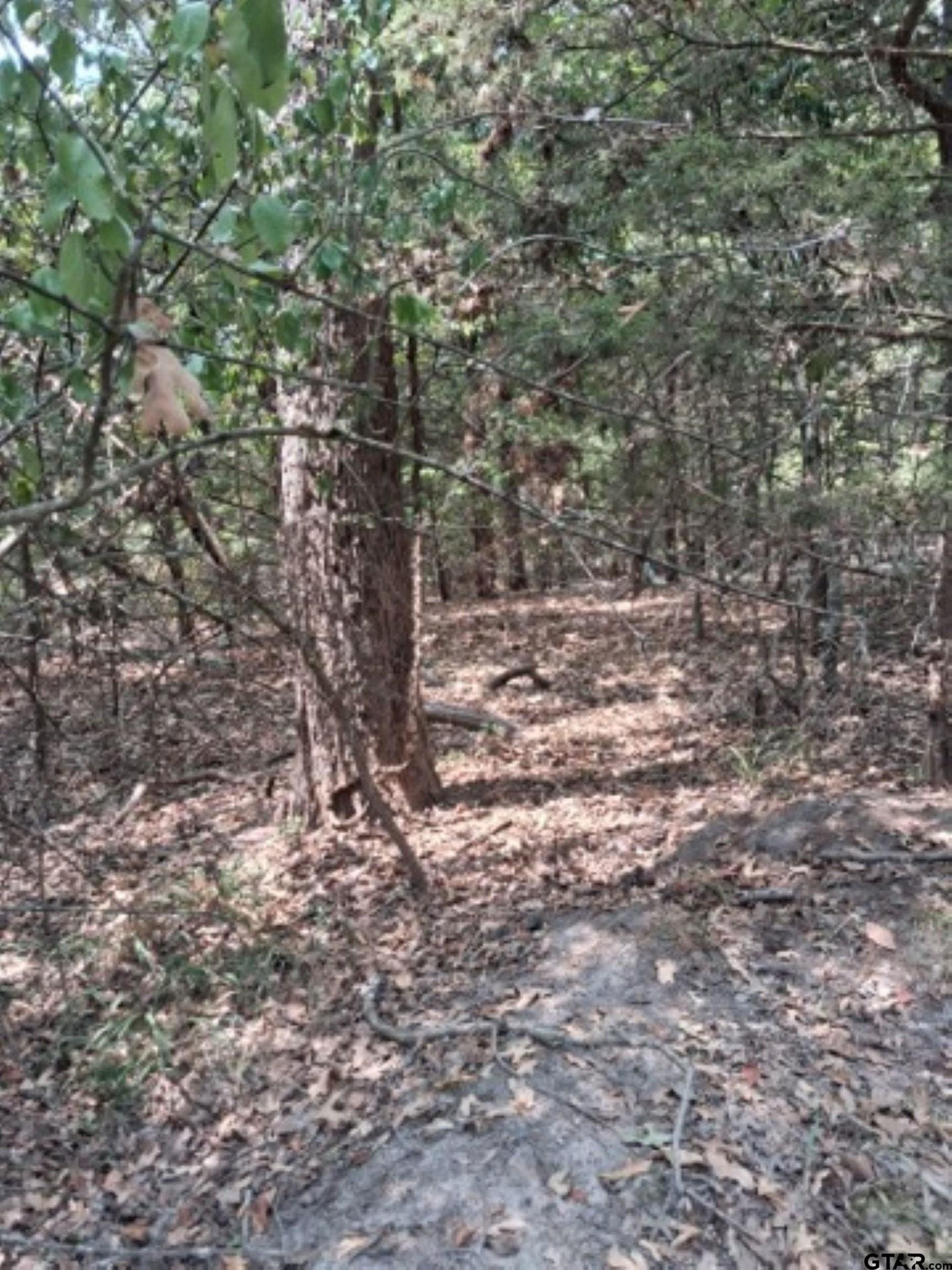 0.24 acres in Van Zandt County - photo 5