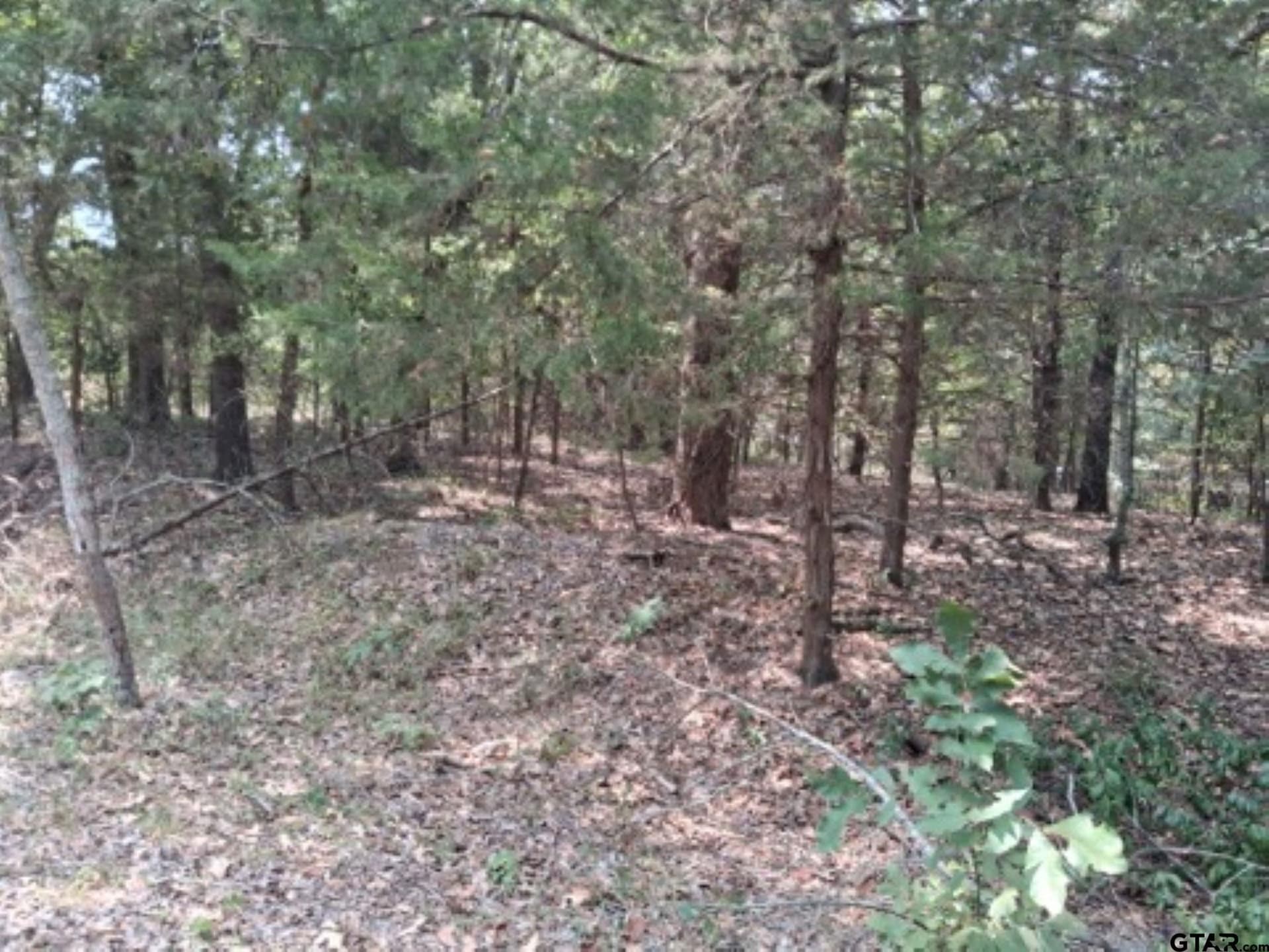 0.24 acres in Van Zandt County - photo 2