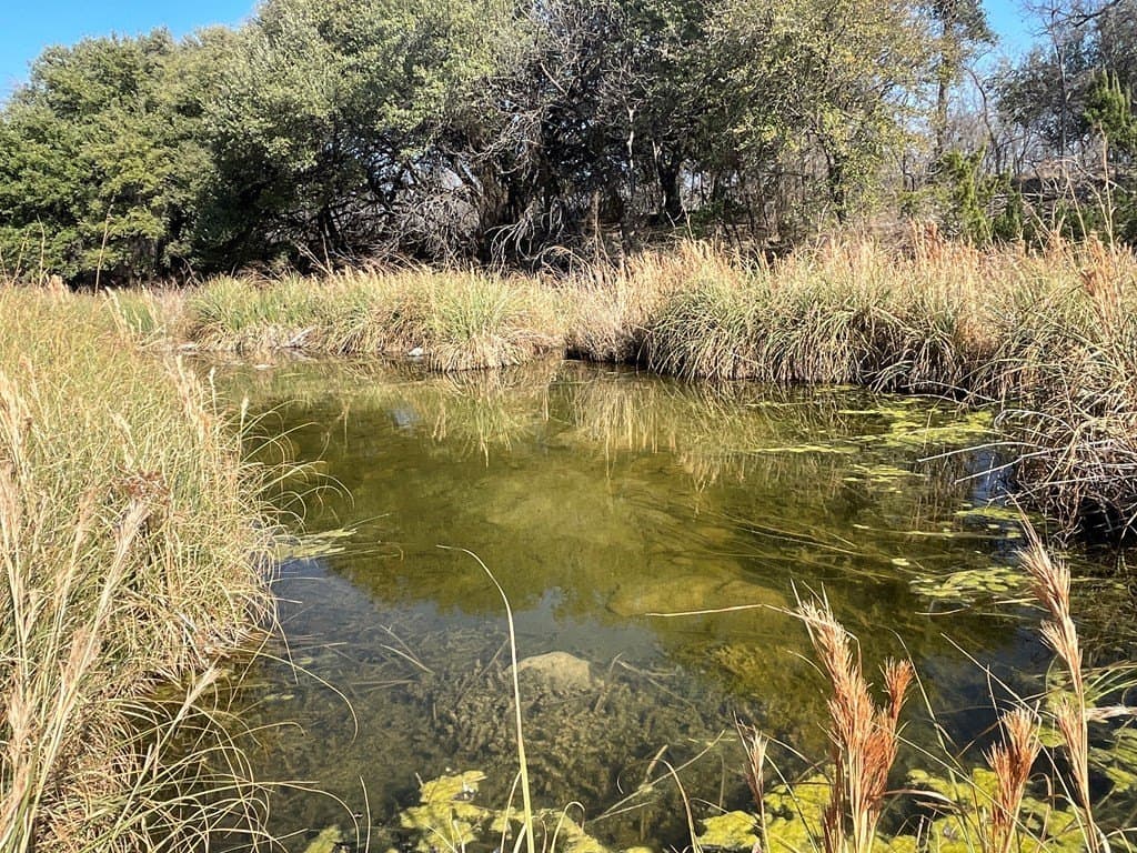 18.08 acres in Irion County featured view