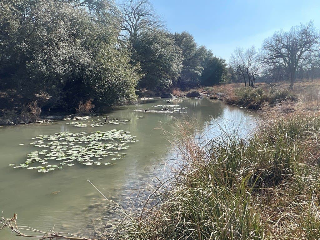 18.08 acres in Irion County gallery image 2