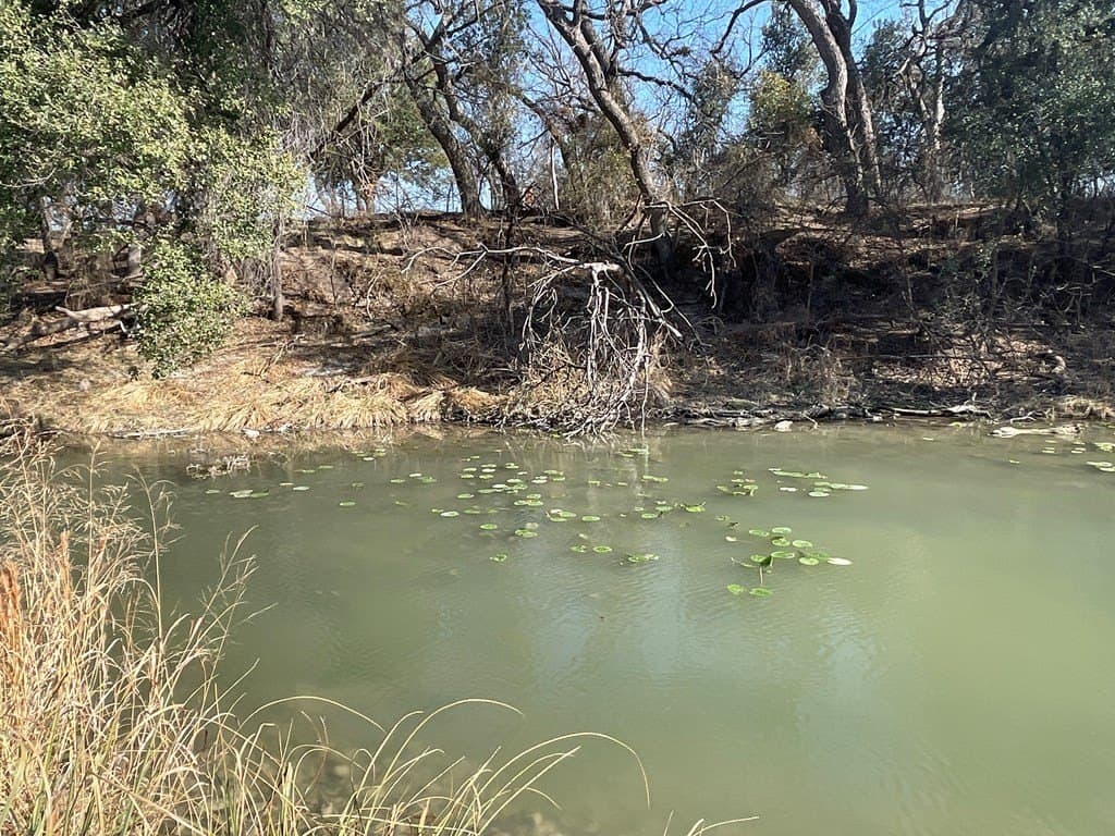 18.08 acres in Irion County gallery image 4