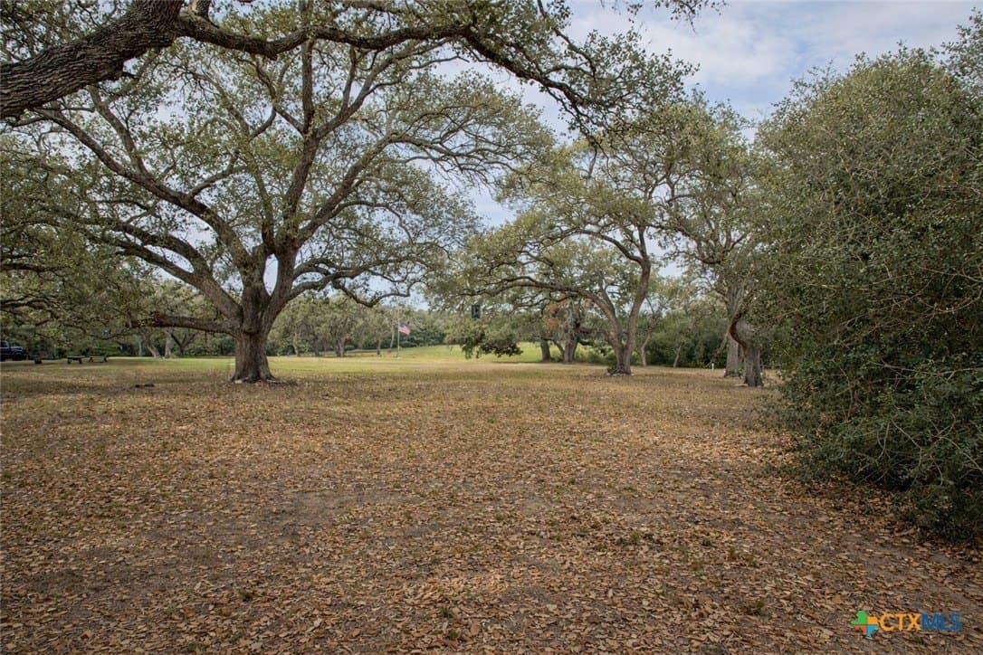 20 acres in Victoria County - photo 44