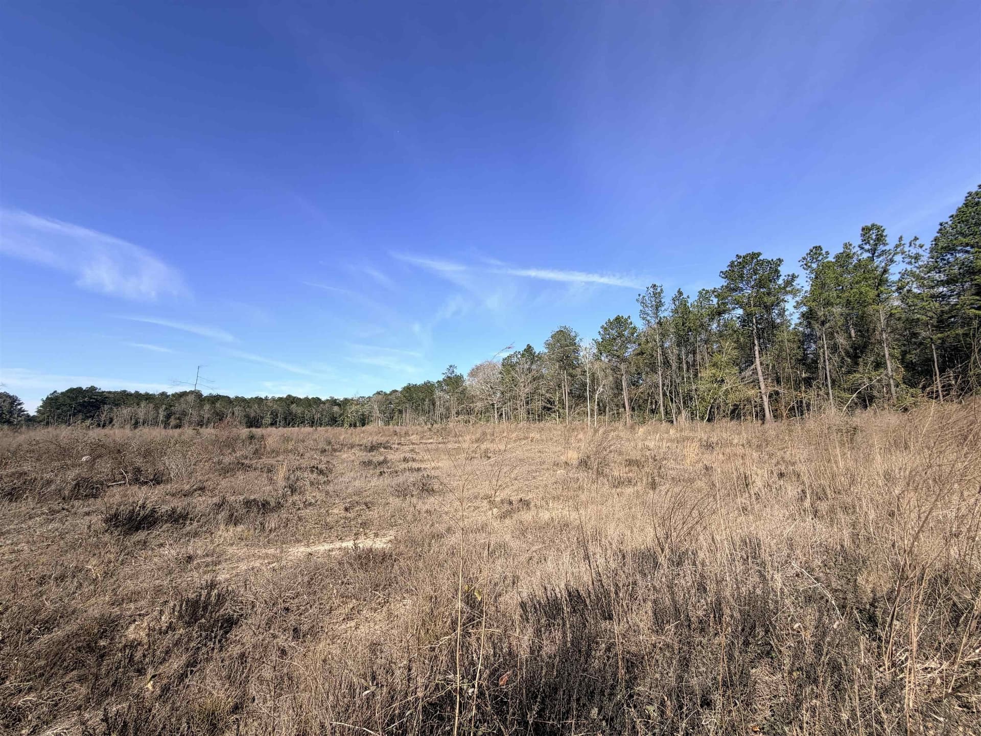12 acres in Tyler County