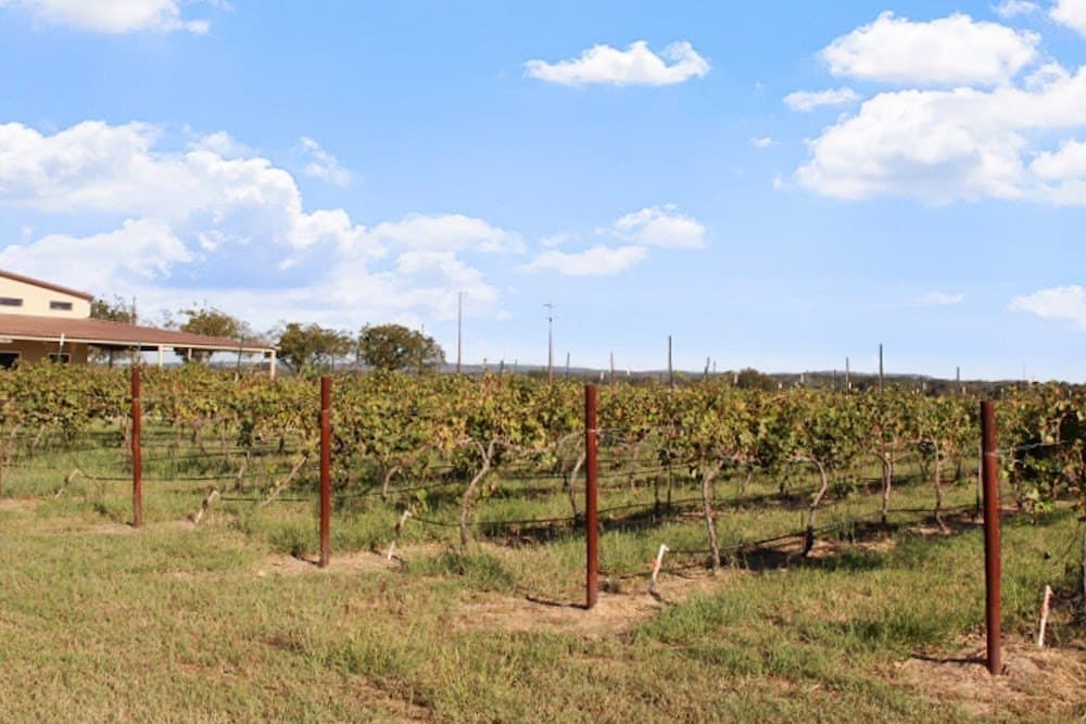14.03 acres in Blanco County - photo 15