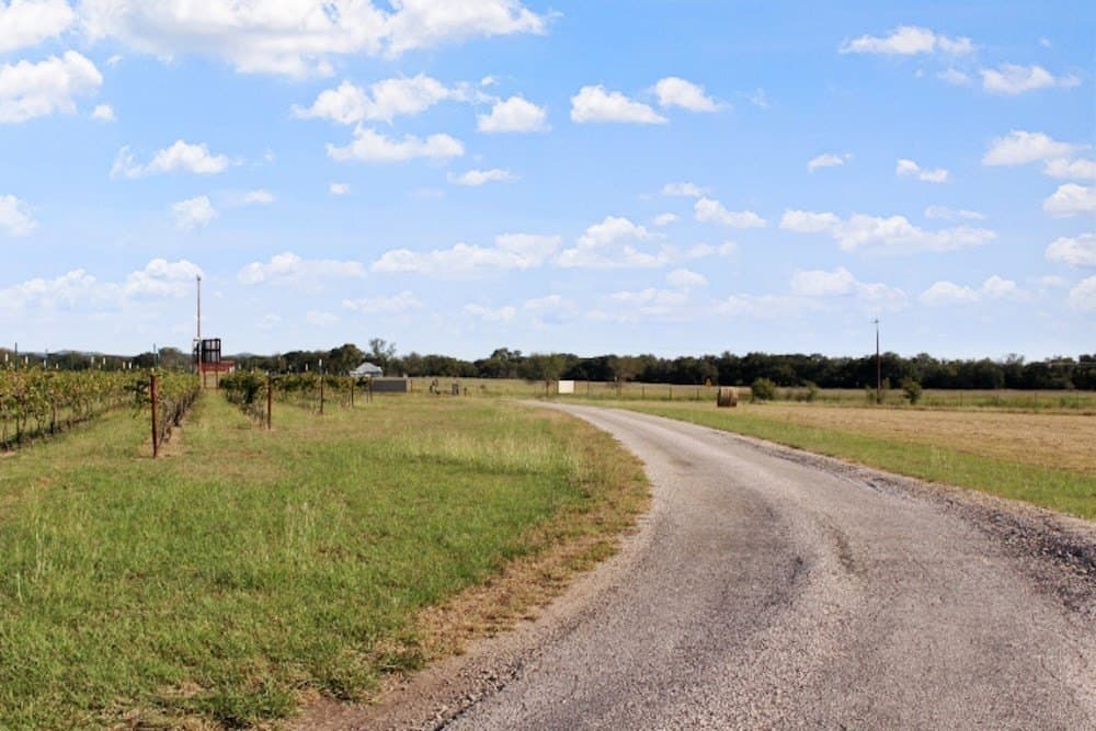 14.03 acres in Blanco County - photo 21