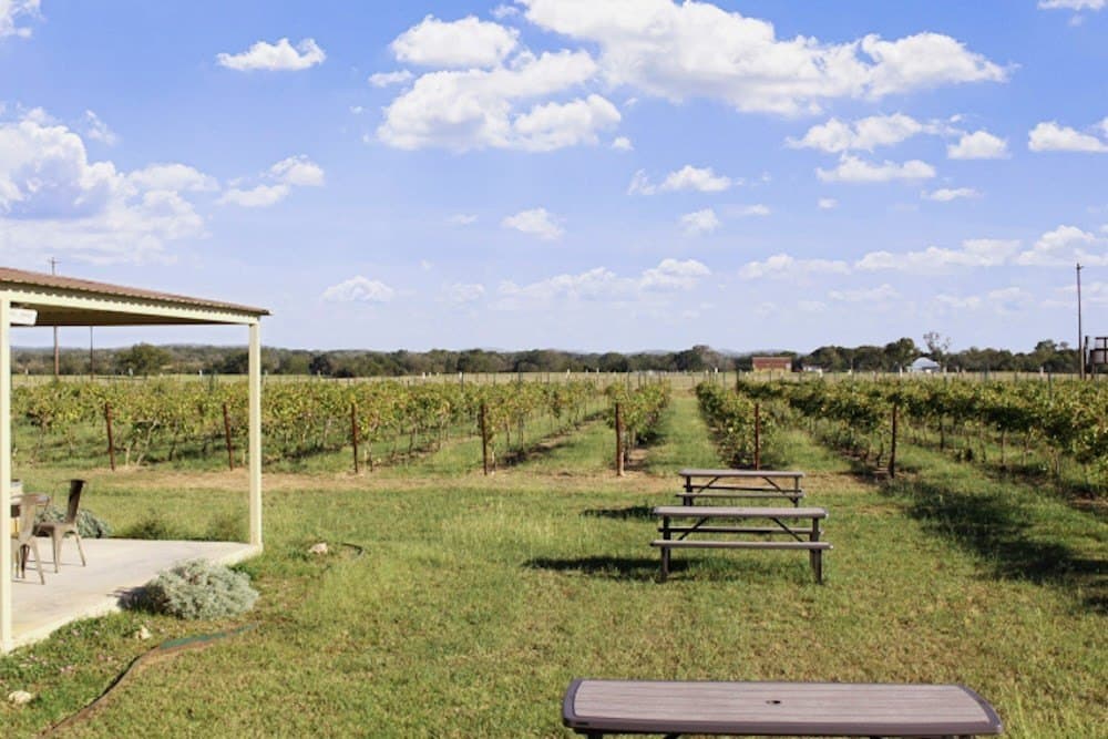 14.03 acres in Blanco County - photo 20
