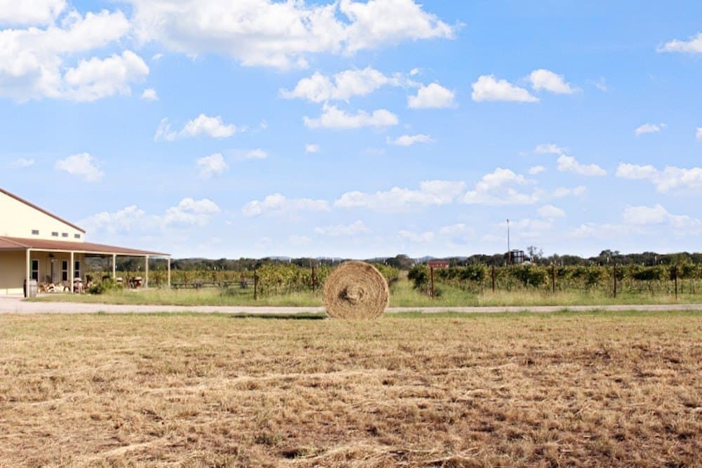 14.03 acres in Blanco County - photo 17