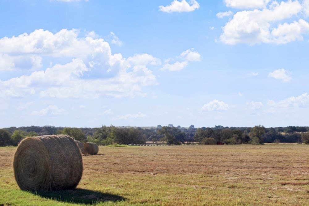 14.03 acres in Blanco County - photo 18