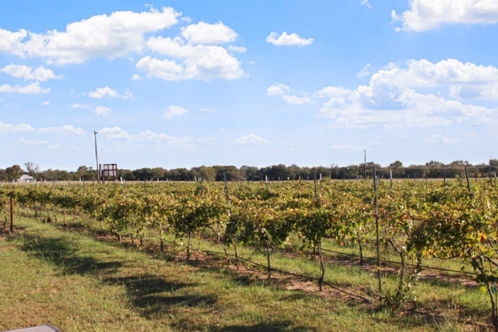 14.03 acres in Blanco County - photo 27