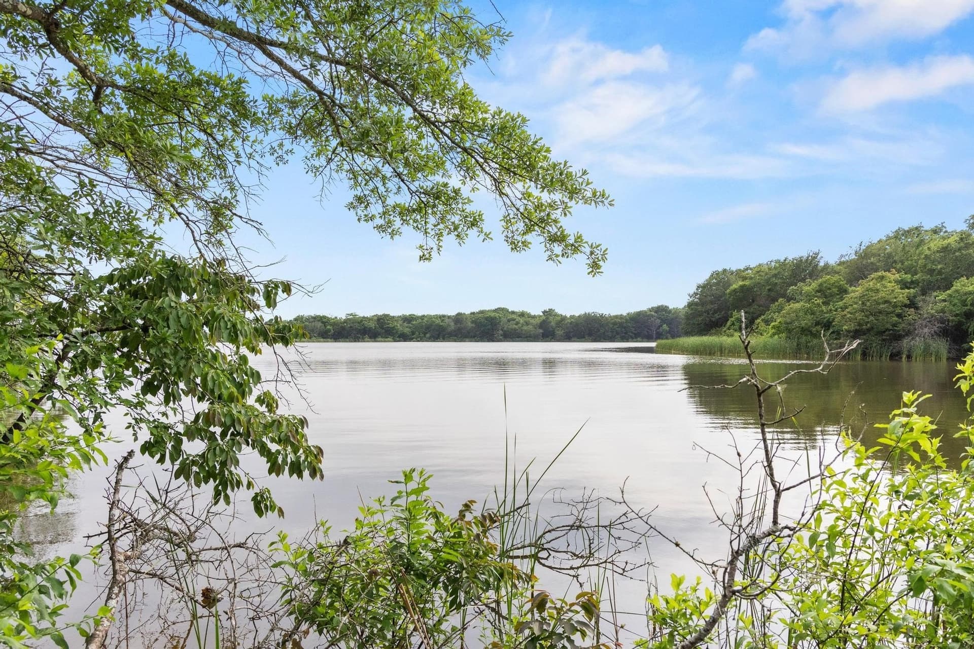 39.7 acres in Fannin County - photo 6