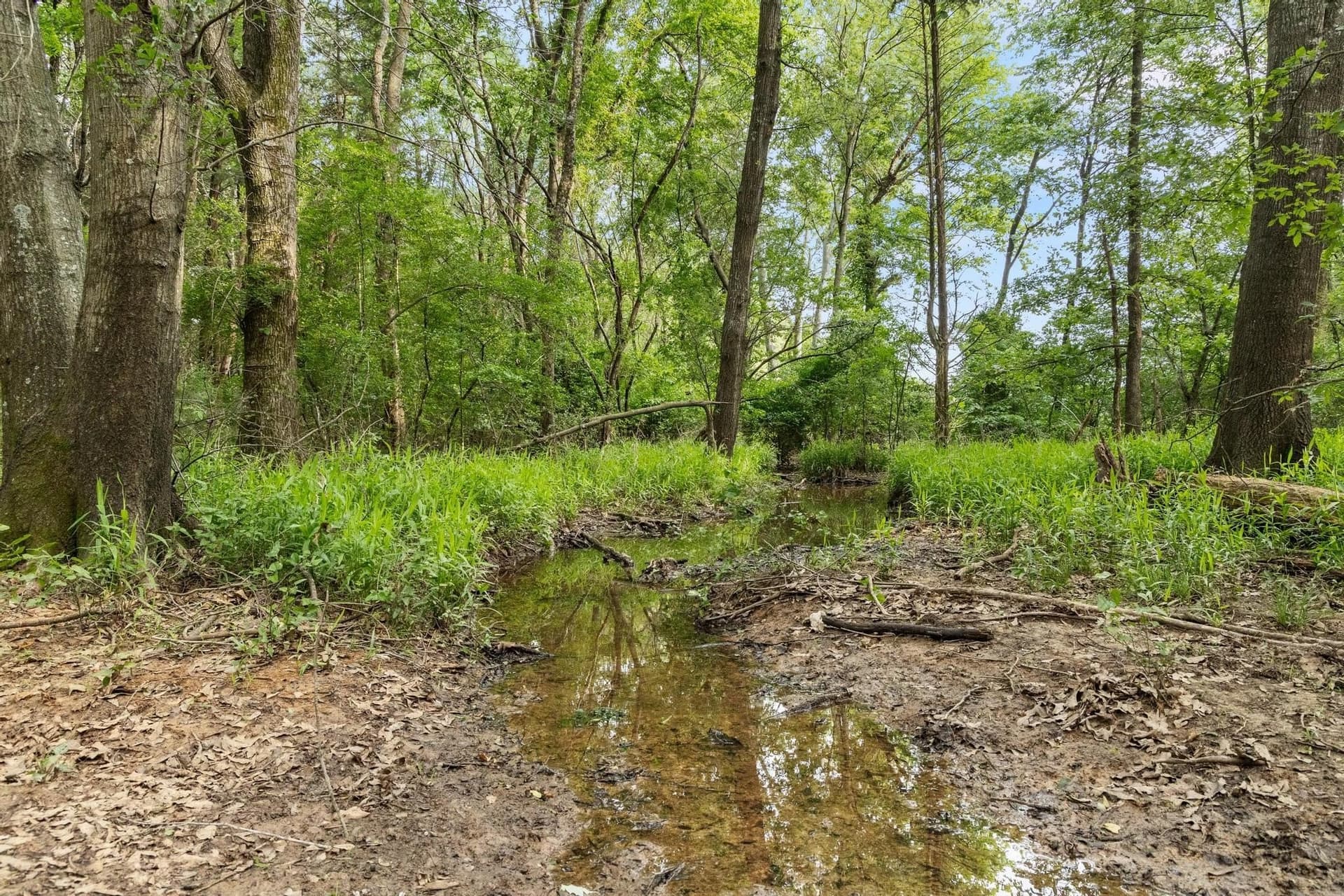 39.7 acres in Fannin County - photo 28
