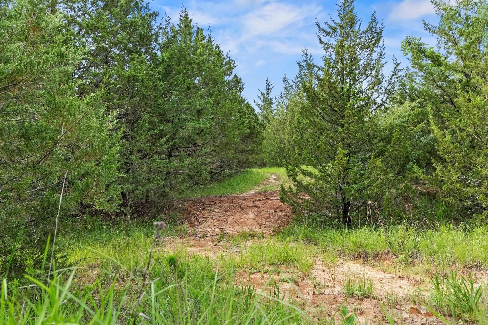 39.7 acres in Fannin County - photo 33