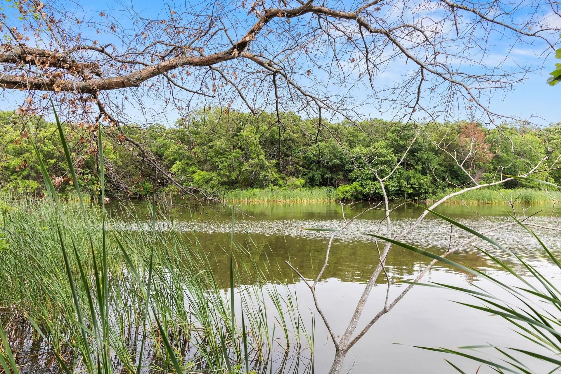 39.7 acres in Fannin County - photo 21