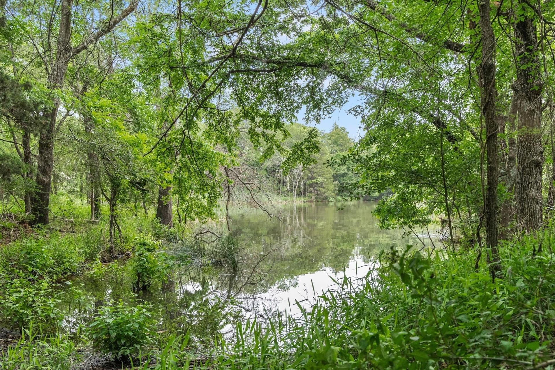 39.7 acres in Fannin County - photo 34