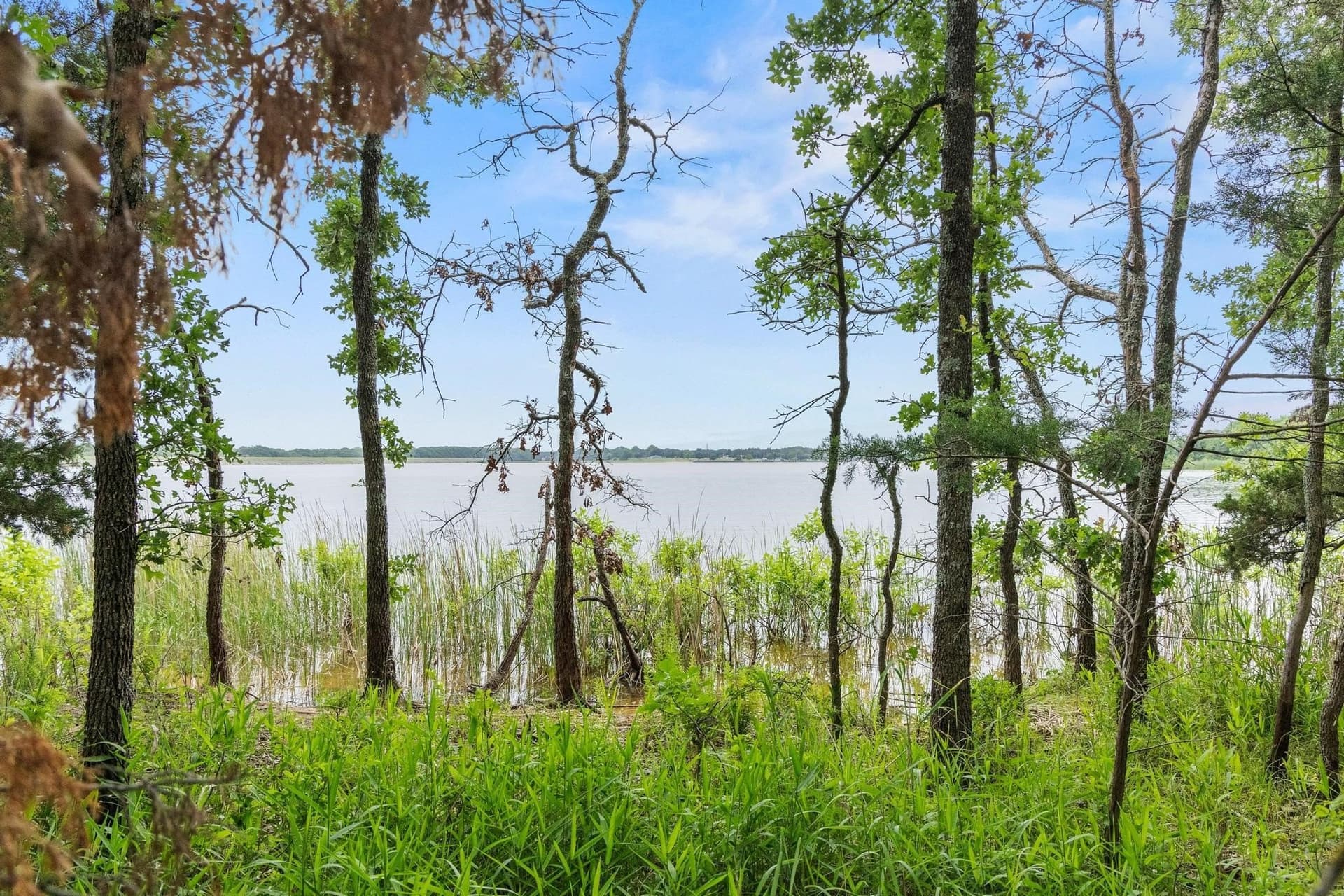 39.7 acres in Fannin County - photo 4