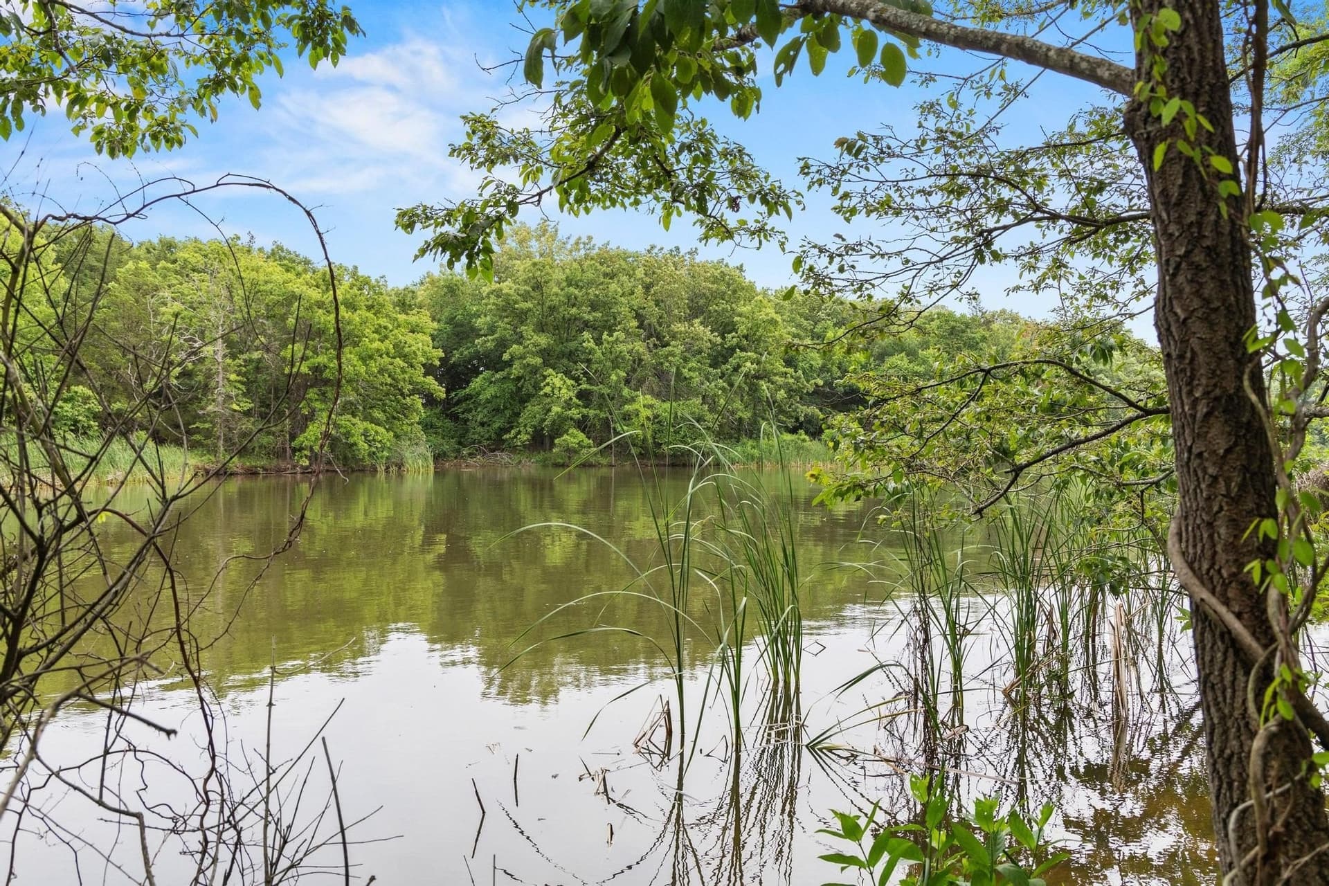 39.7 acres in Fannin County - photo 23