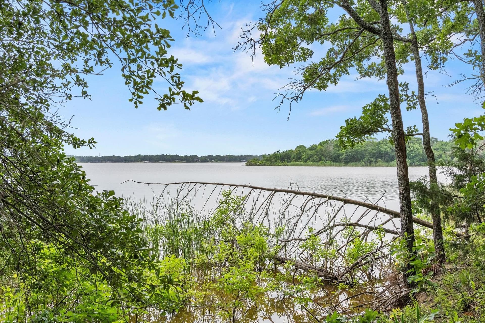 39.7 acres in Fannin County - photo 5