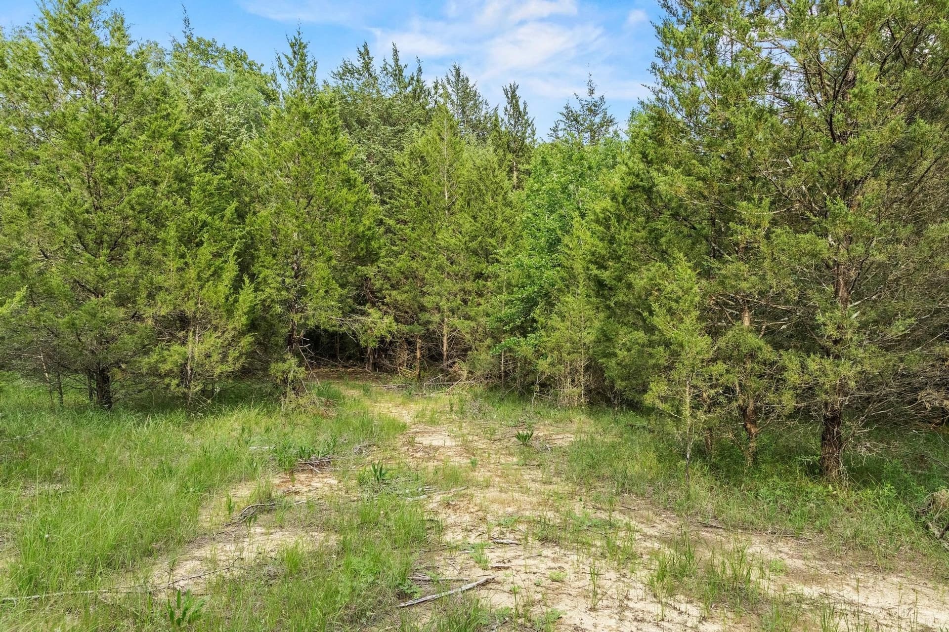 39.7 acres in Fannin County - photo 27