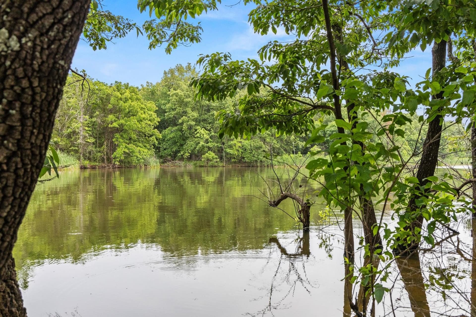 39.7 acres in Fannin County - photo 25