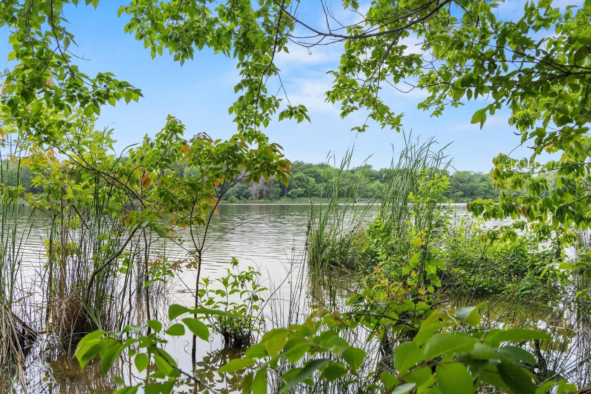 39.7 acres in Fannin County - photo 8