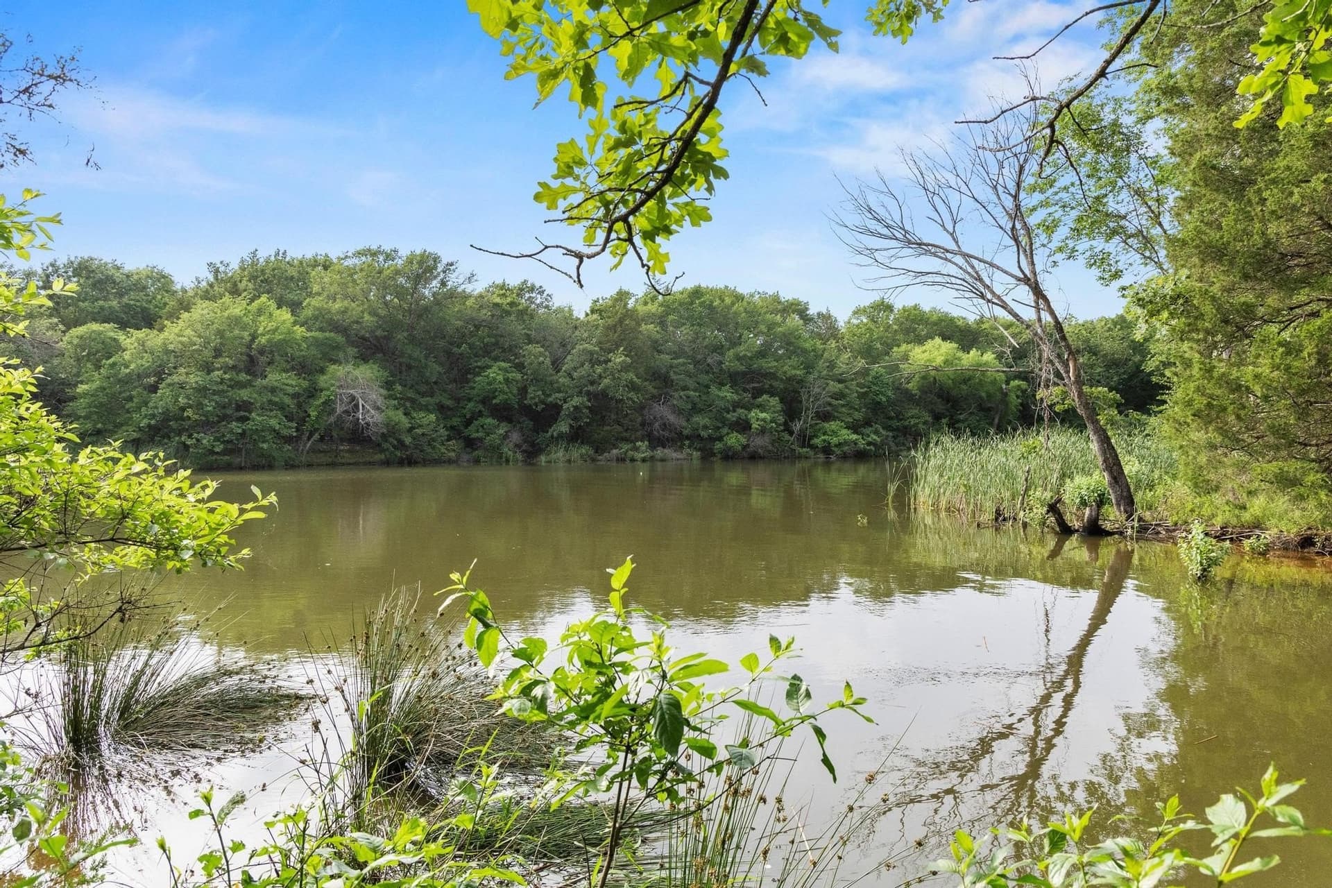 39.7 acres in Fannin County - photo 7
