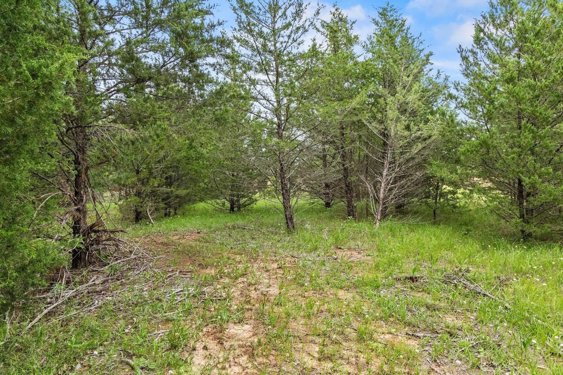 39.7 acres in Fannin County - photo 31