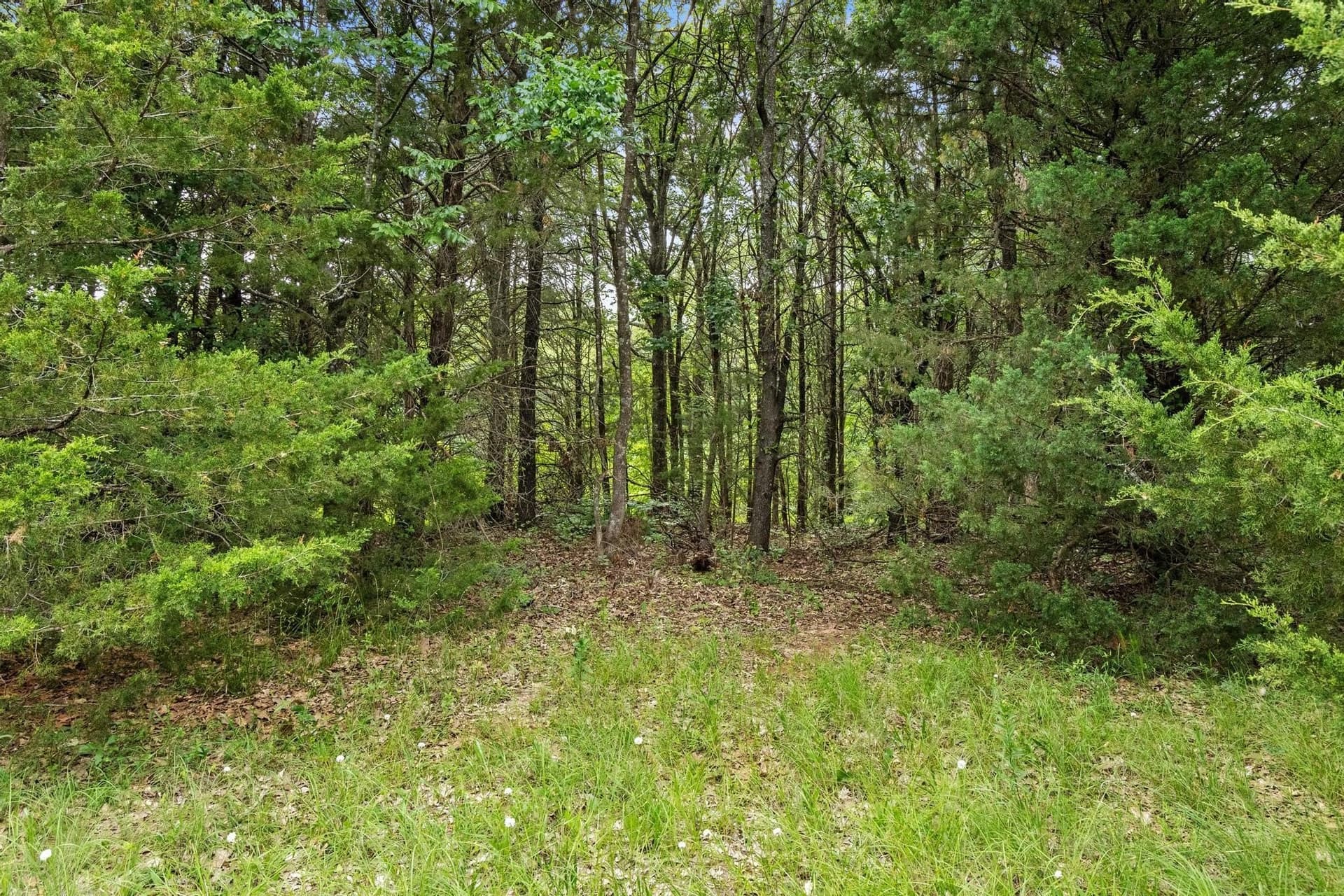39.7 acres in Fannin County - photo 32