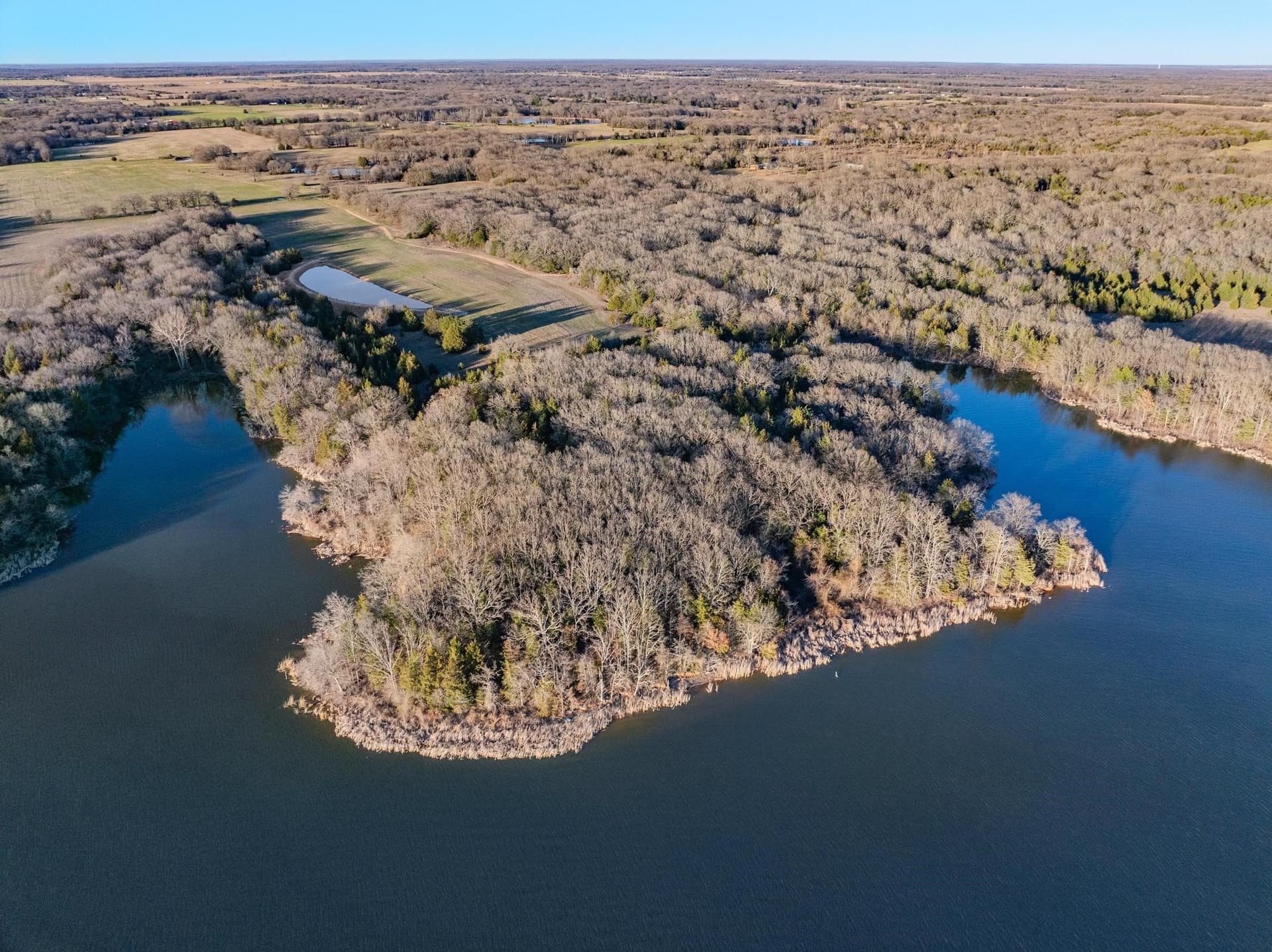 39.7 acres in Fannin County - photo 15