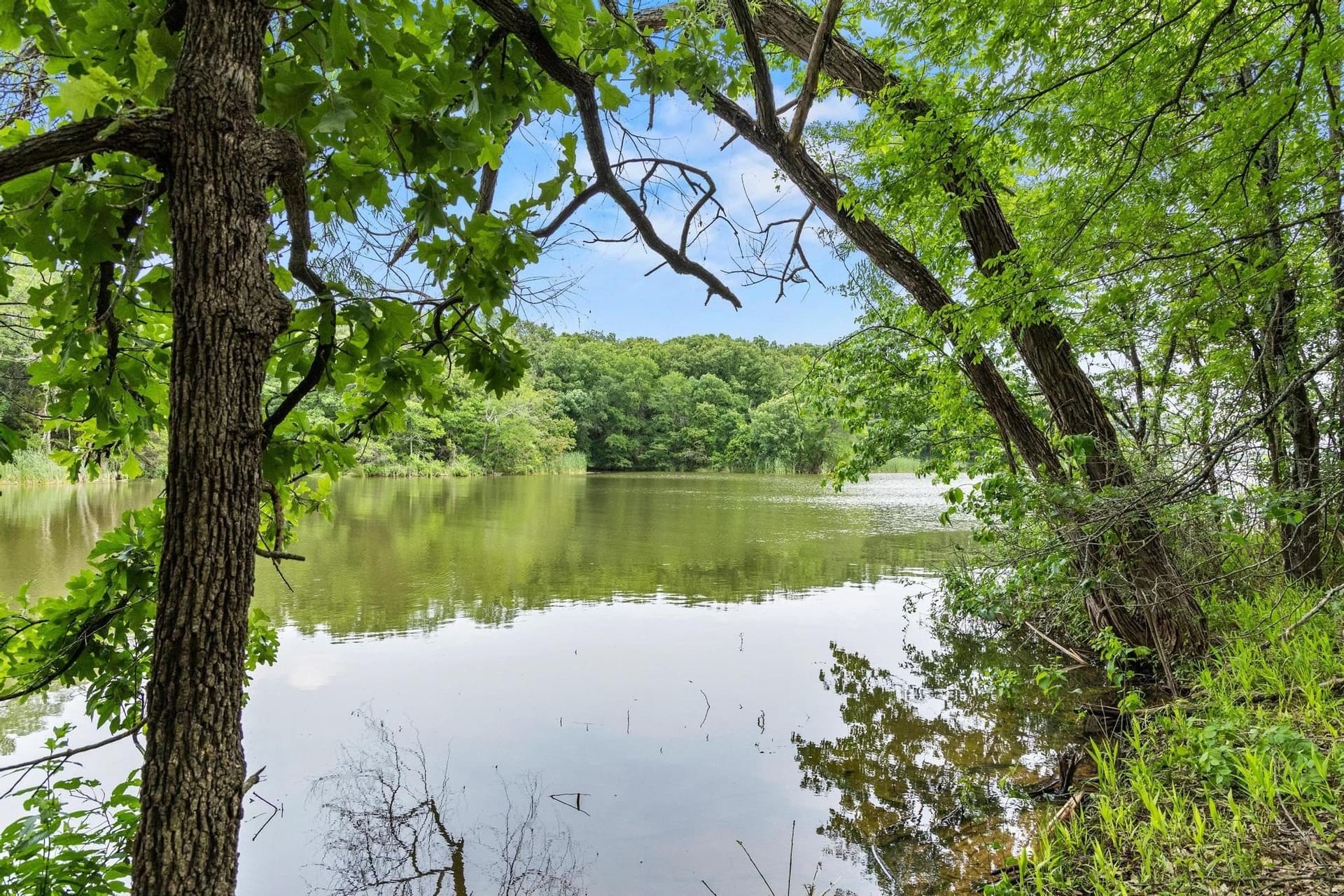 39.7 acres in Fannin County - photo 22