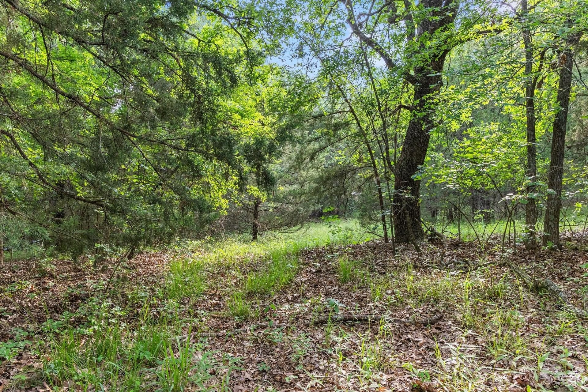 39.7 acres in Fannin County - photo 18