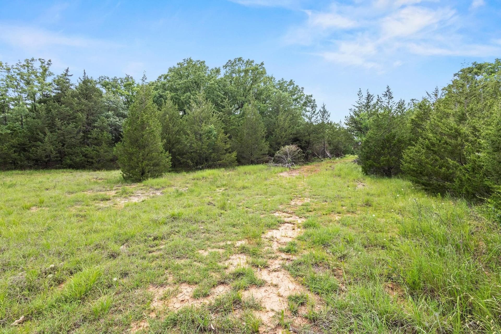 39.7 acres in Fannin County - photo 26
