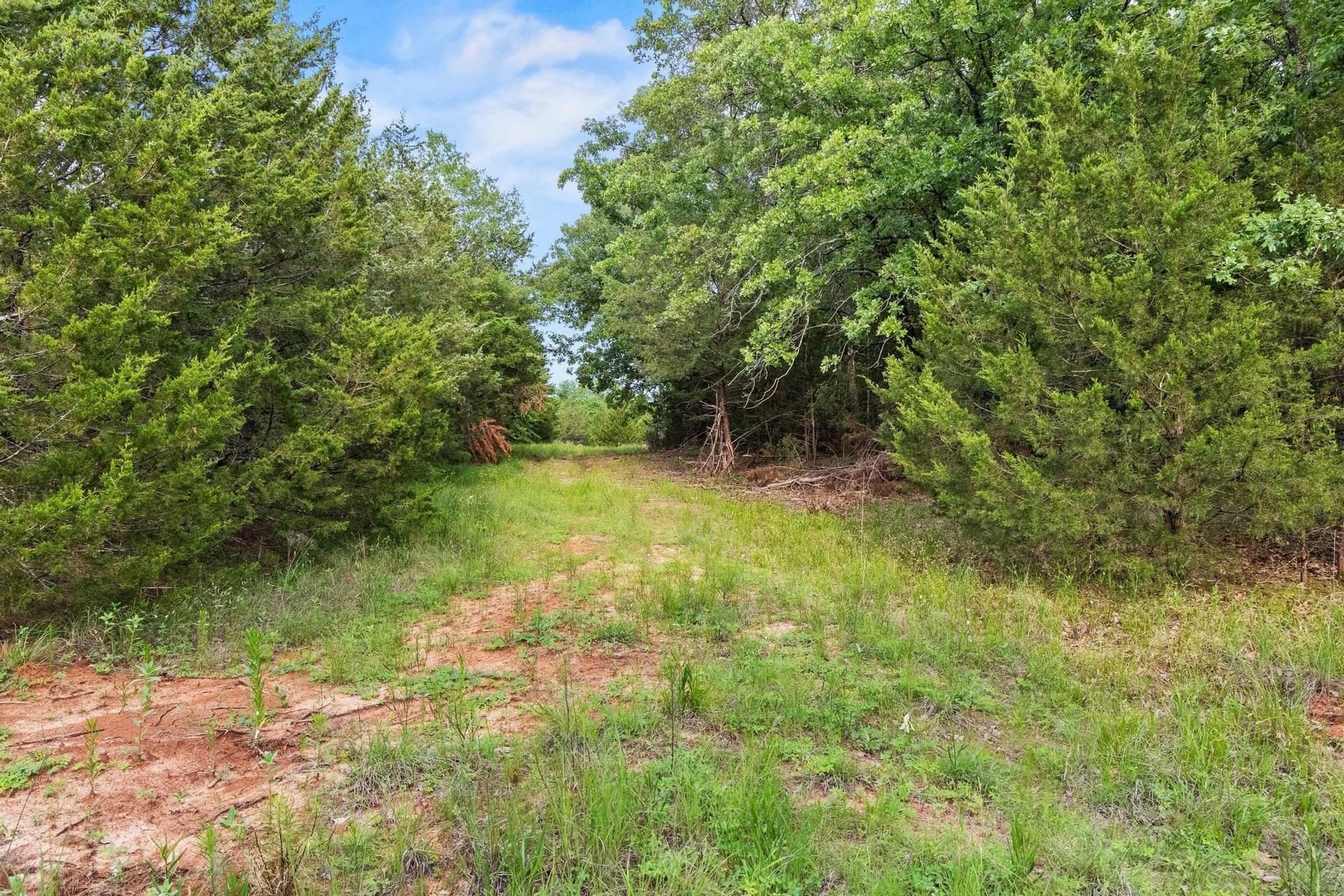 39.7 acres in Fannin County - photo 35