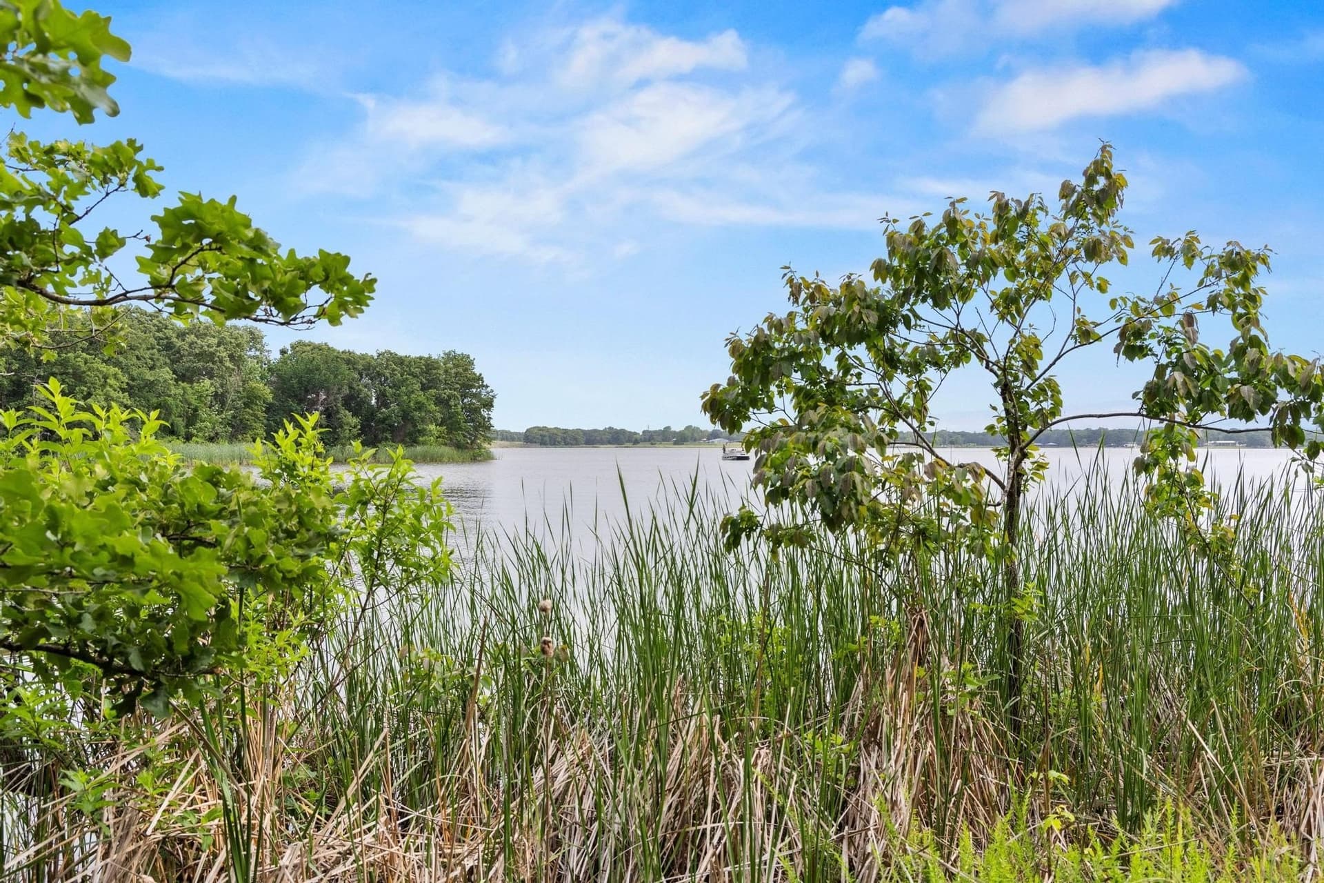 39.7 acres in Fannin County - photo 20