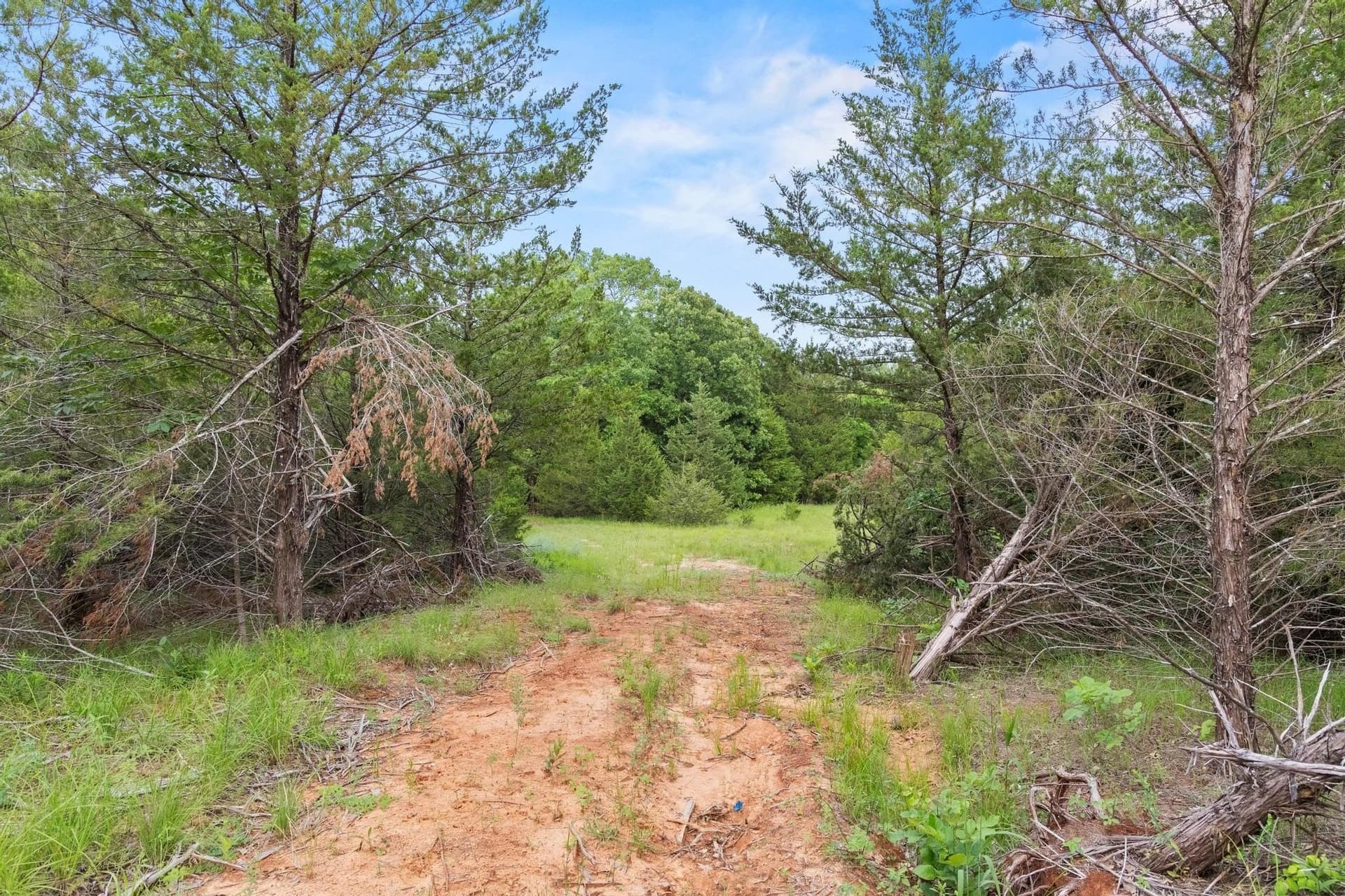 39.7 acres in Fannin County - photo 9