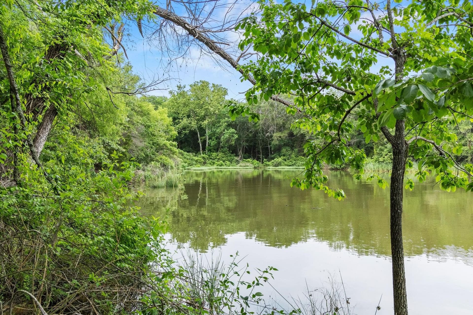 39.7 acres in Fannin County - photo 19