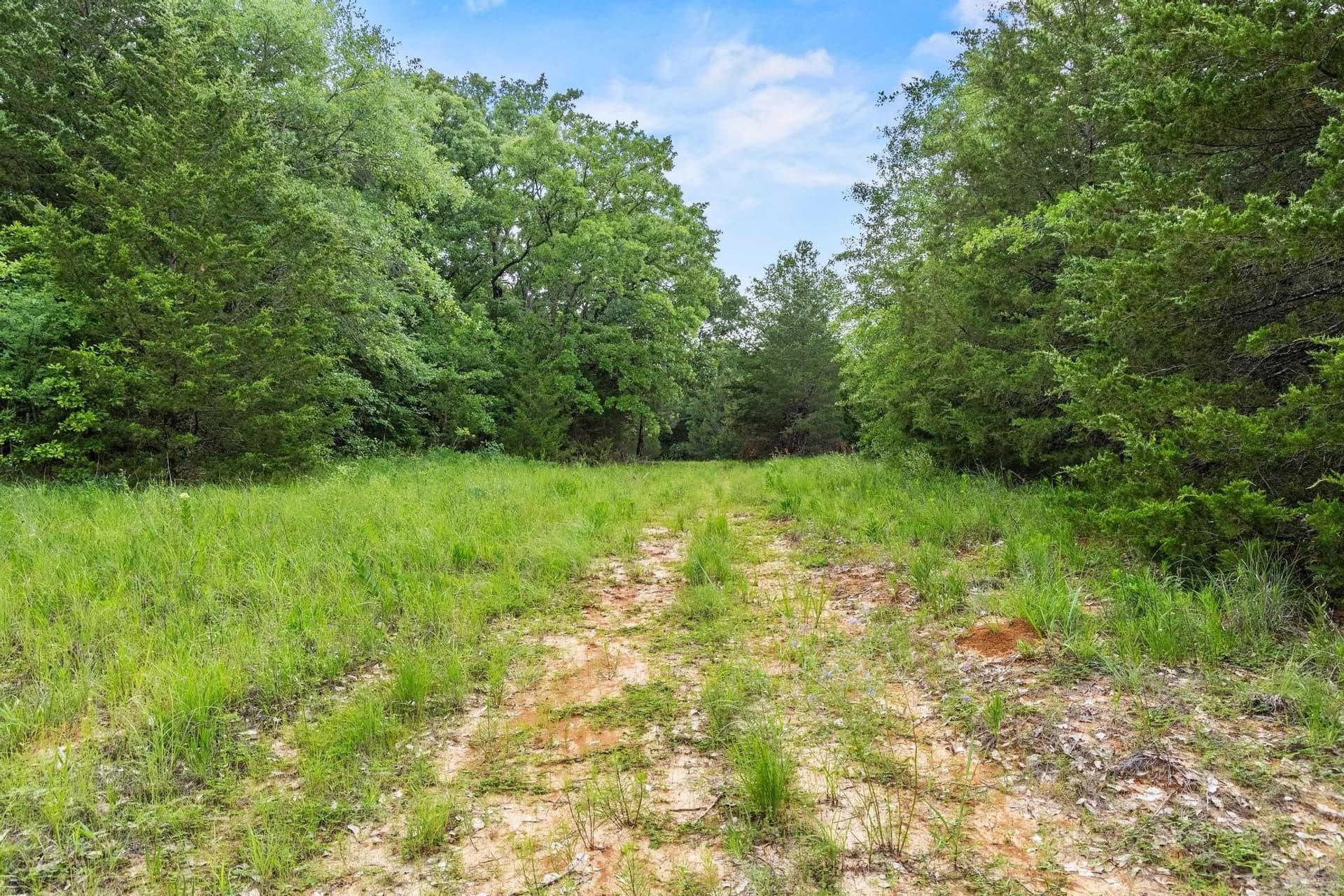 39.7 acres in Fannin County - photo 17