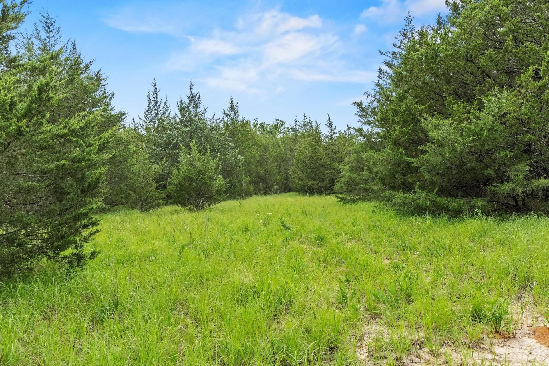 39.7 acres in Fannin County - photo 30