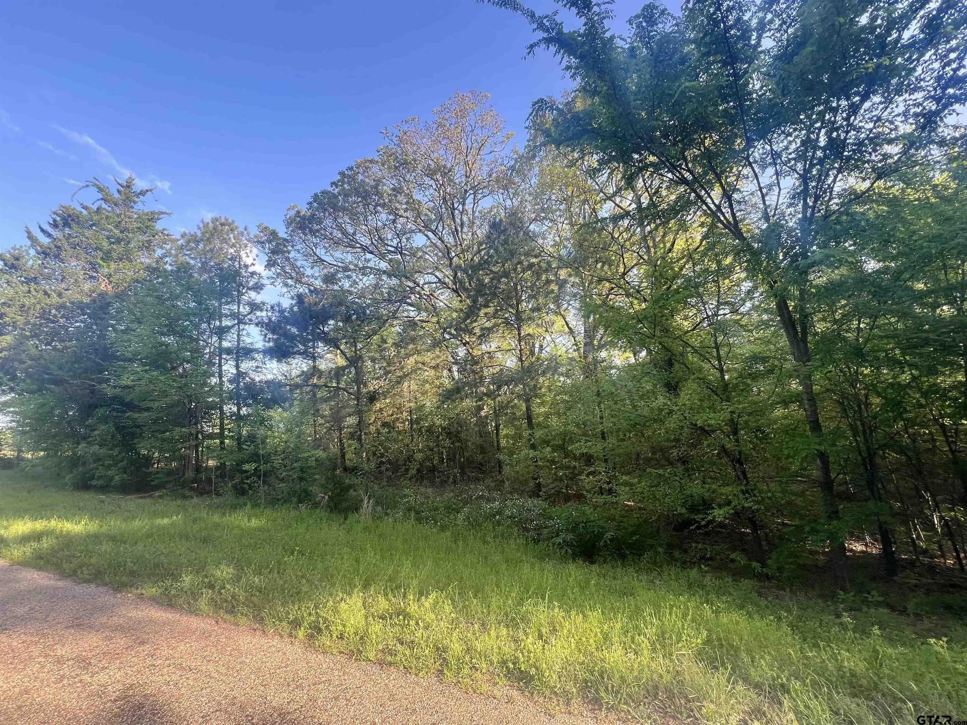 2.6 acres in Titus County gallery image 3