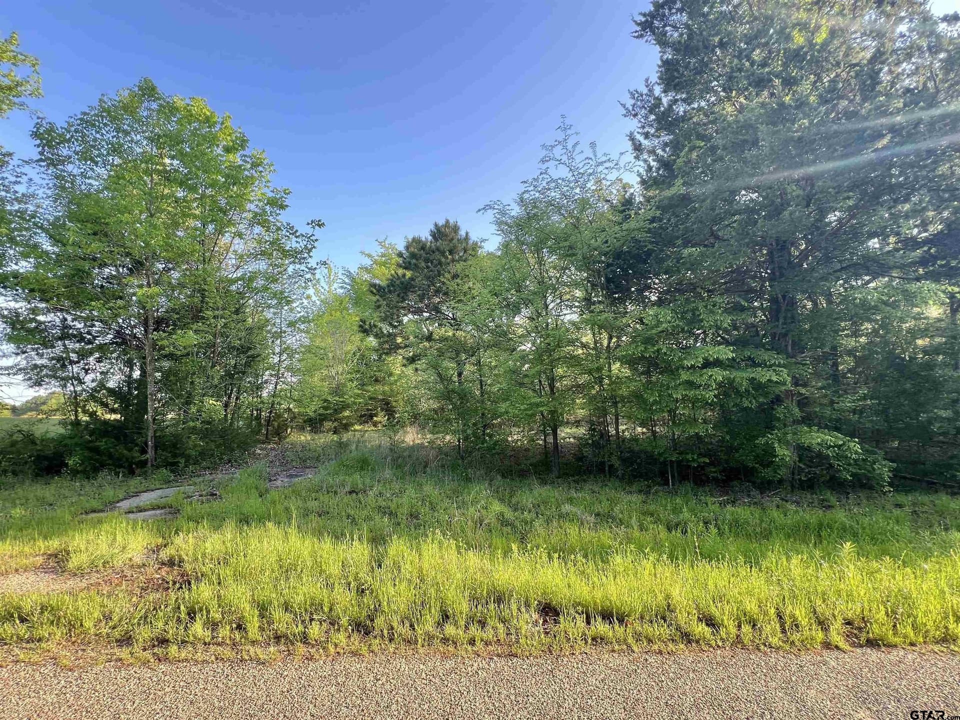 2.6 acres in Titus County