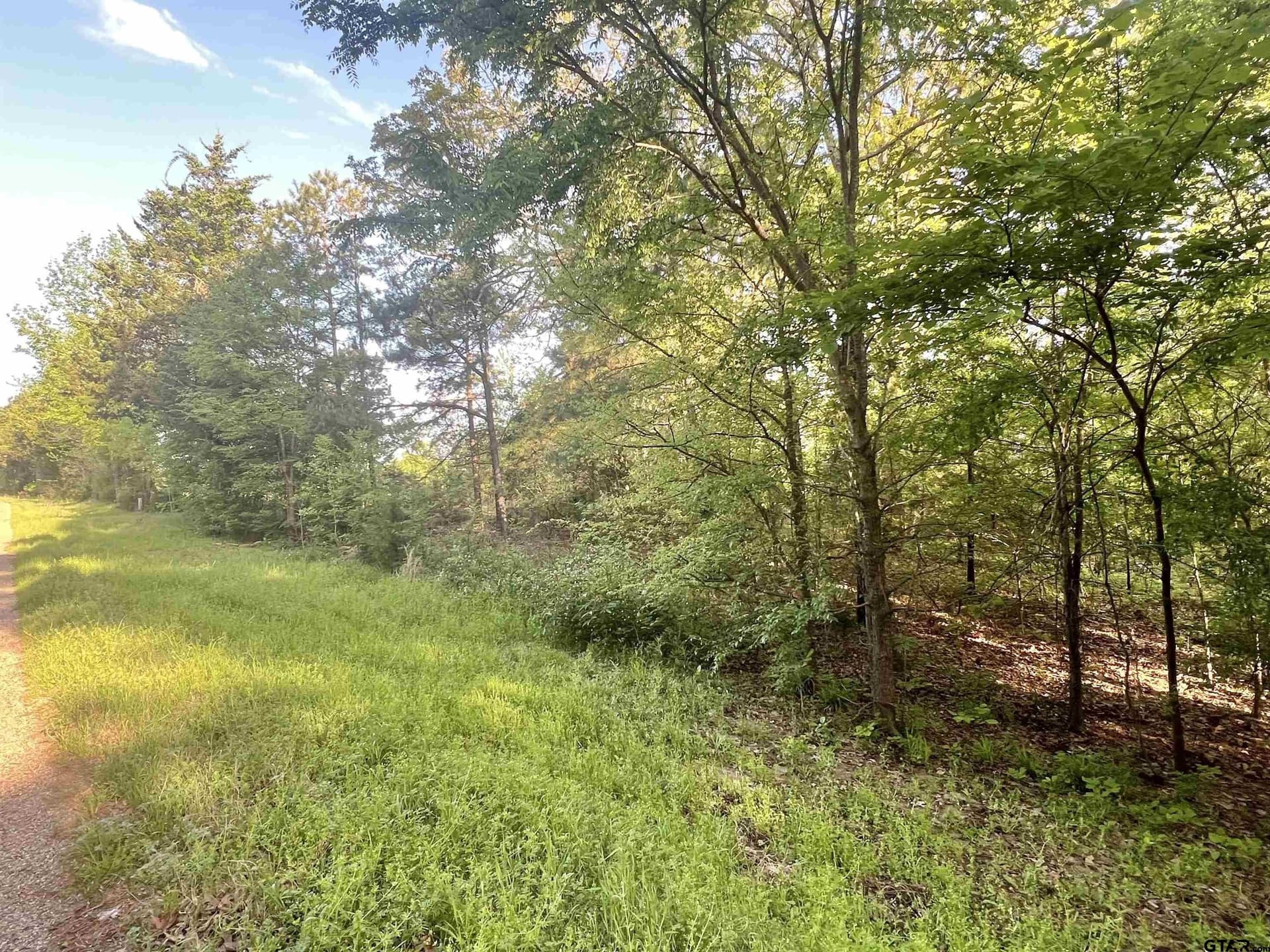 2.6 acres in Titus County gallery image 2