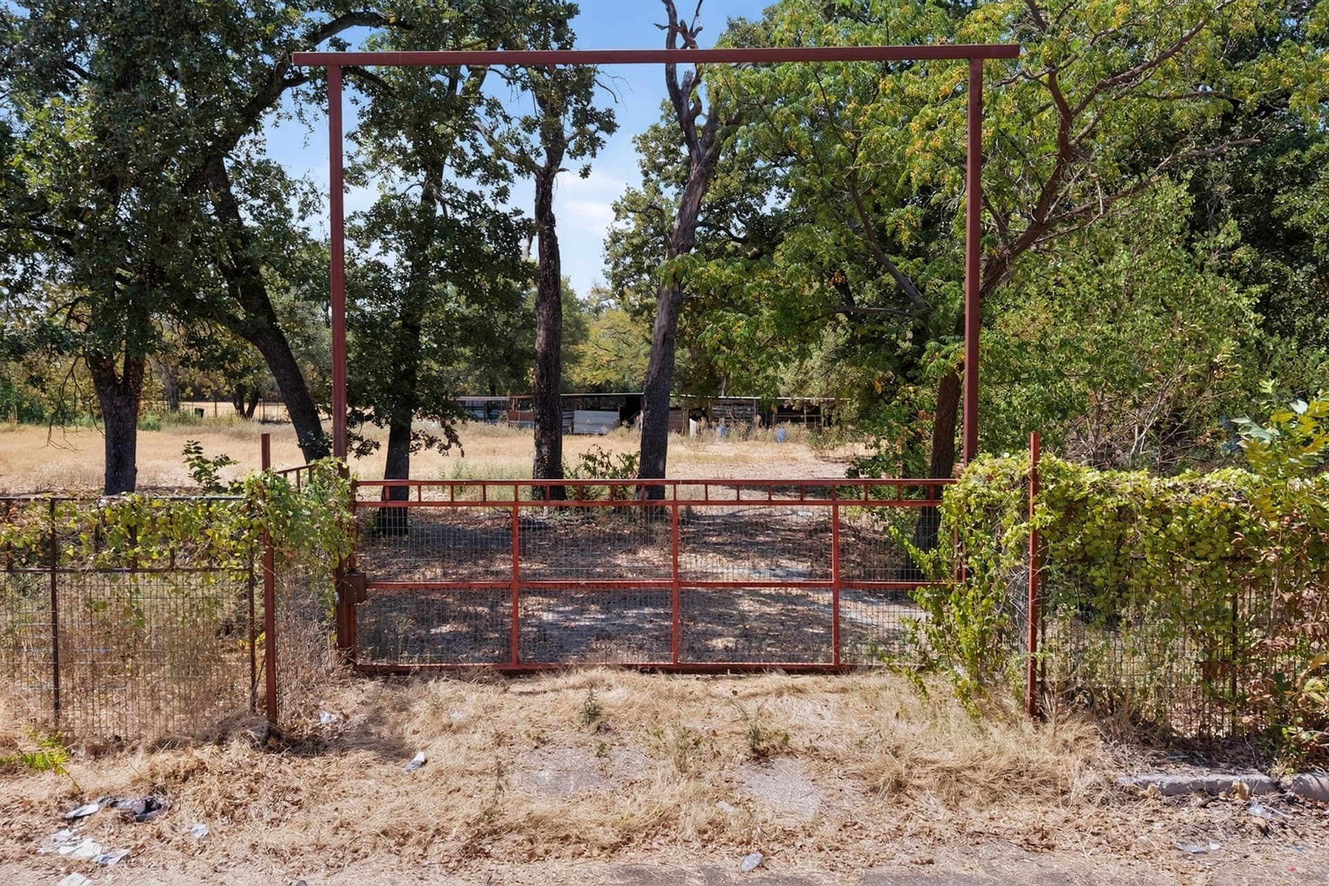 4.65 acres in Dallas County - photo 3