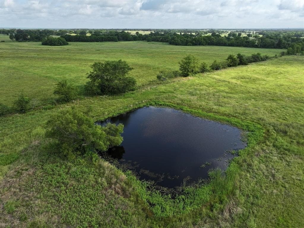 16.31 acres in Van Zandt County gallery image 3