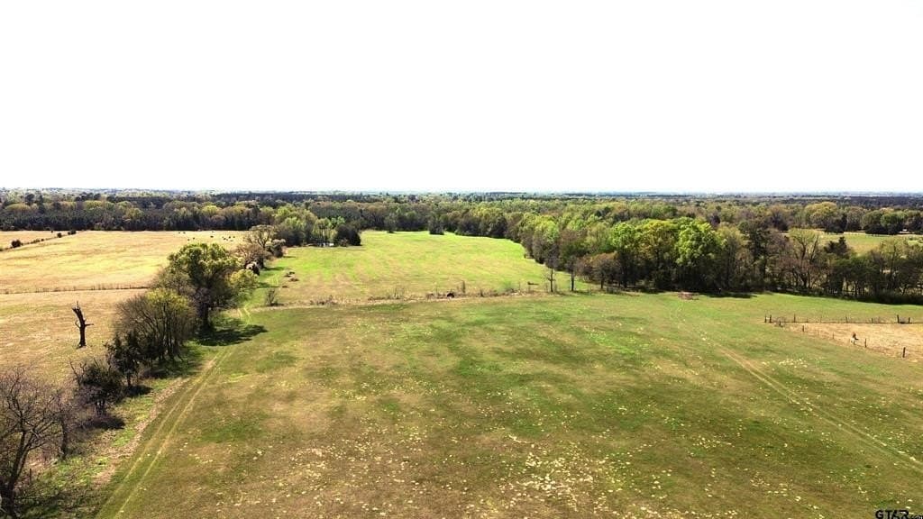 18.35 acres in Camp County - photo 3